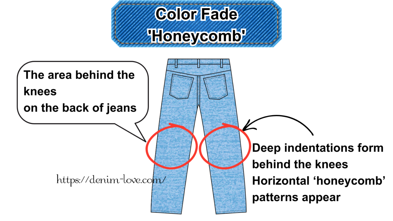 【デニムの豆知識】デニムの色落ちって何？（色落ち『ハチノス』ができる部分）・英語