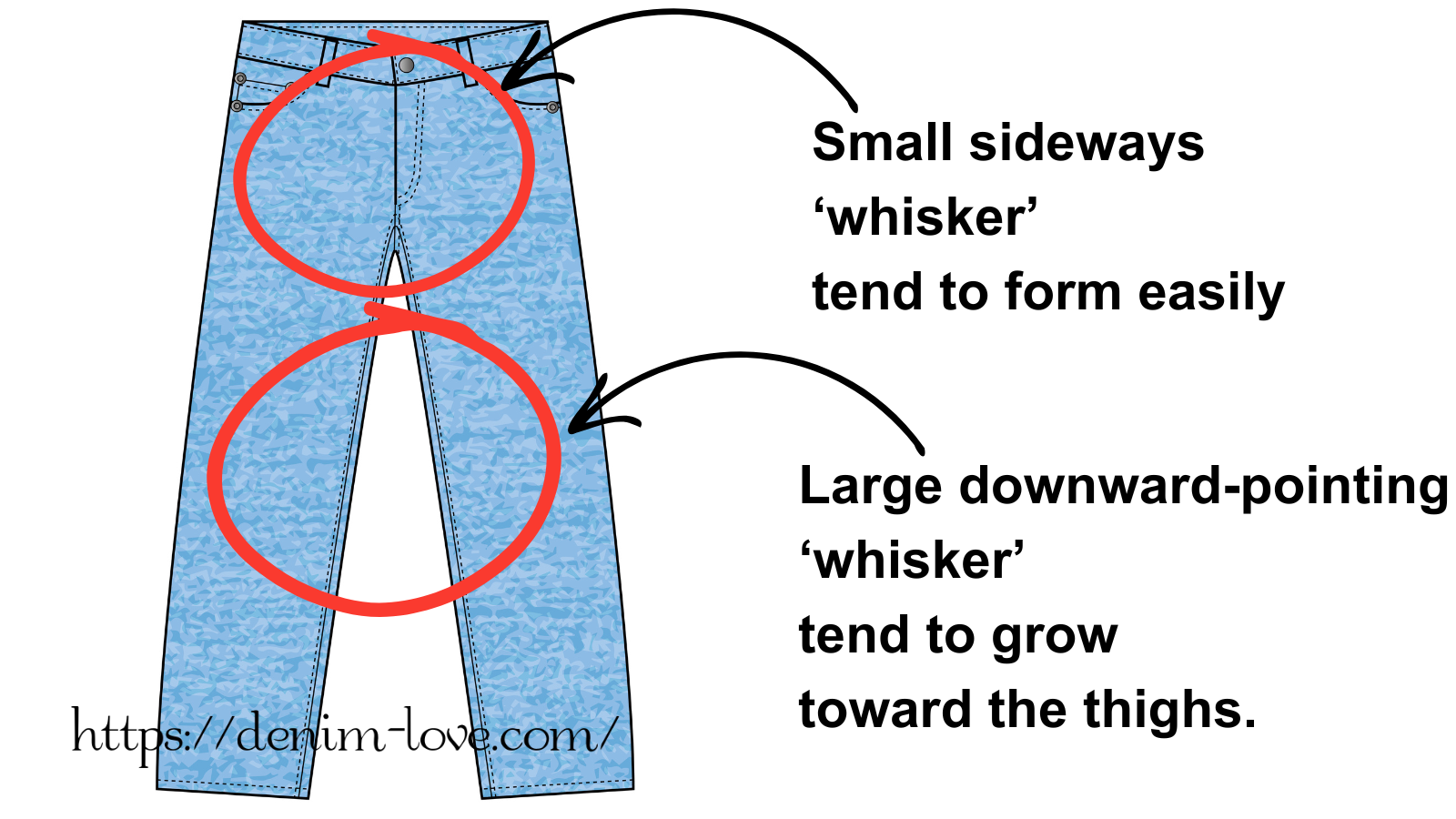 【デニムの豆知識】デニムの色落ちって何？（色落ち『ヒゲ』ができる部分）・英語